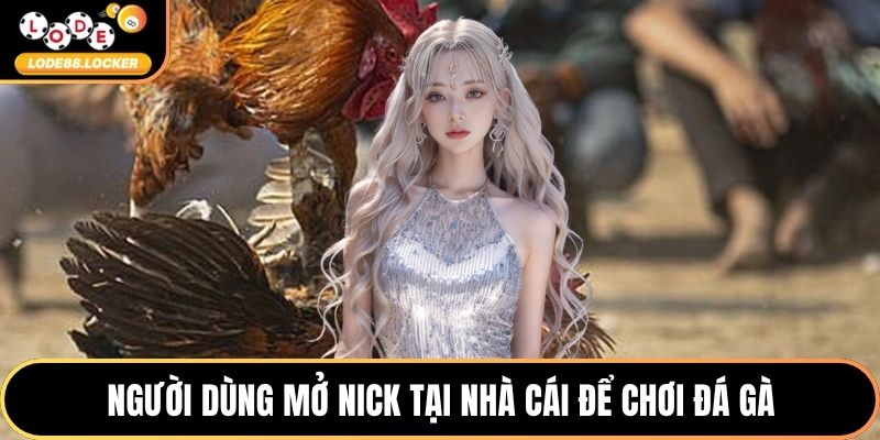 Người dùng mở nick tại nhà cái để chơi đá gà