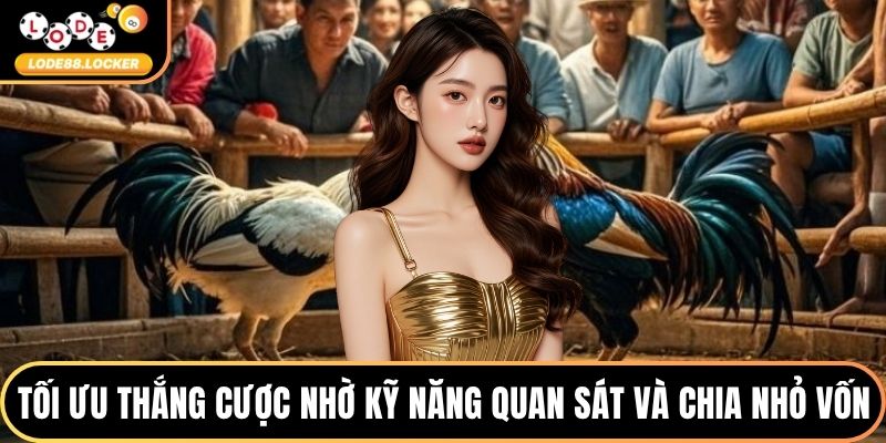 Tối ưu thắng cược nhờ kỹ năng quan sát và chia nhỏ vốn