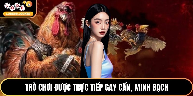 Trò chơi được trực tiếp gay cấn, minh bạch