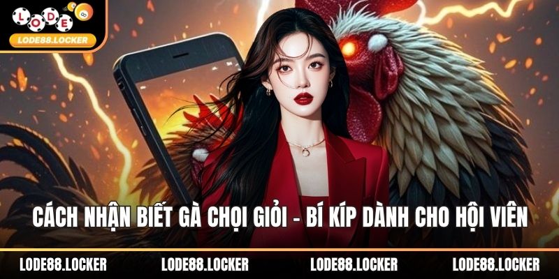 Cách nhận biết gà chọi giỏi