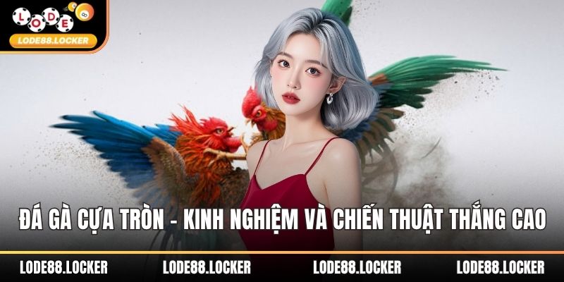 Đá gà cựa tròn